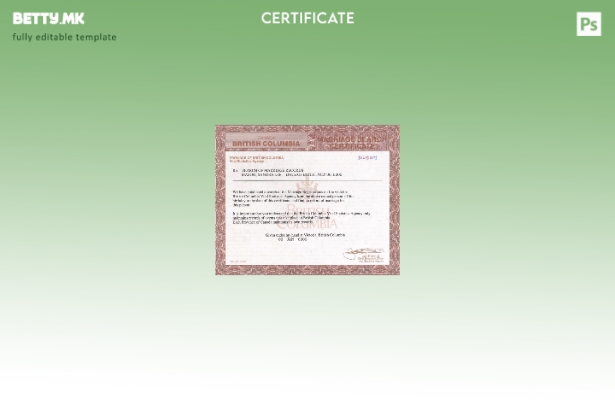 Модерен стил на Канада, Британска Колумбија, шаблон за американски брак во шабло